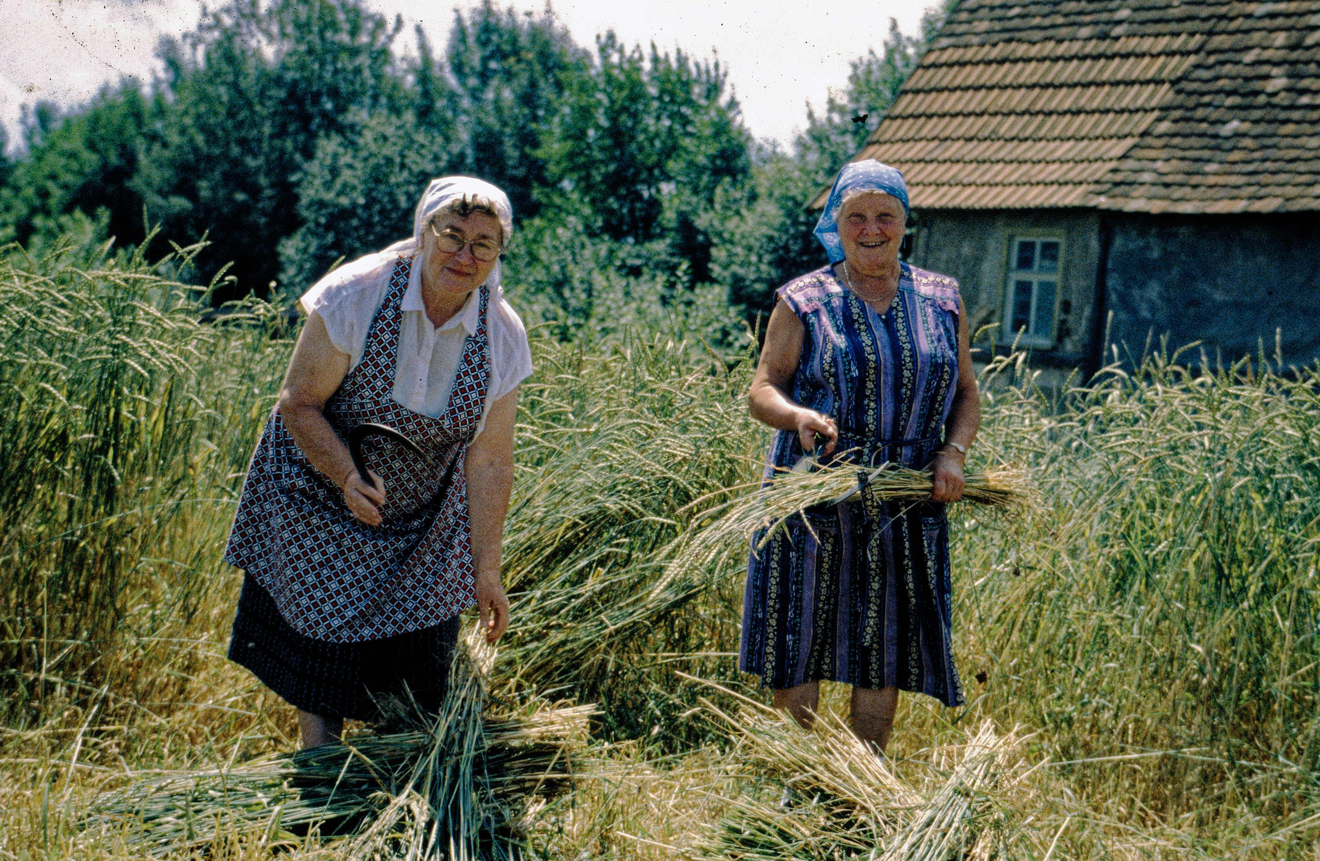 1995